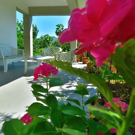 Nikola Rule Ostojic Отель типа 