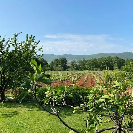 Nikola Rule Ostojic Bed & Breakfast 4*