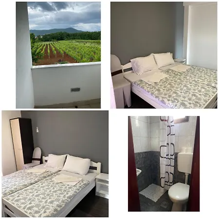 Bed & Breakfast Nikola Rule Ostojic