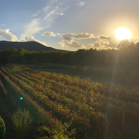 Nikola Rule Ostojic Отель типа 