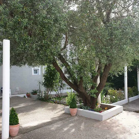 Nikola Rule Ostojic 4*