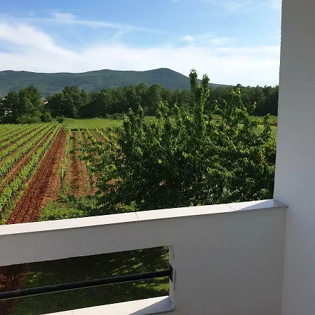 Nikola Rule Ostojic Отель типа 